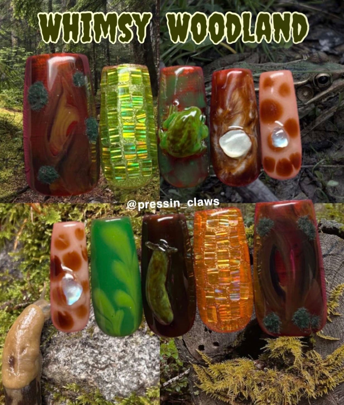 A whimsy woodland🐸🐌🪵